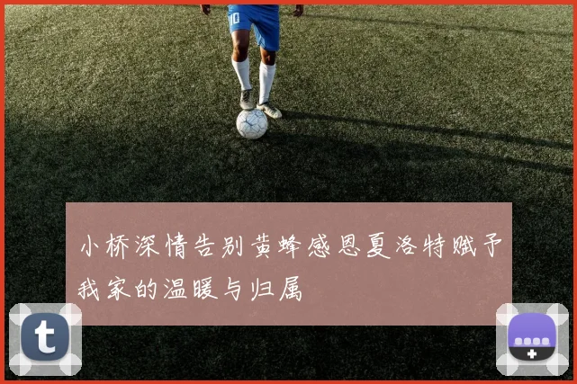 小桥深情告别黄蜂感恩夏洛特赋予我家的温暖与归属